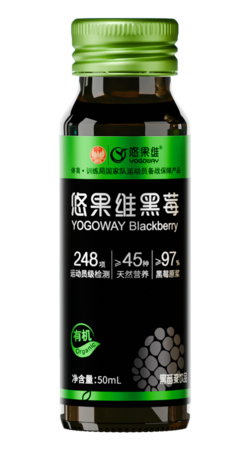 黑莓浆饮品黑色款（瓶装）